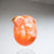 Texas Grapefruit Shrub Recipes
