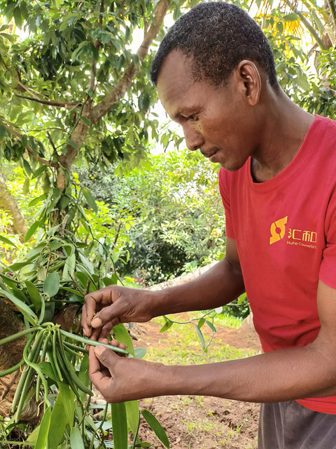 Man in a red shirt tending to plants in a garden